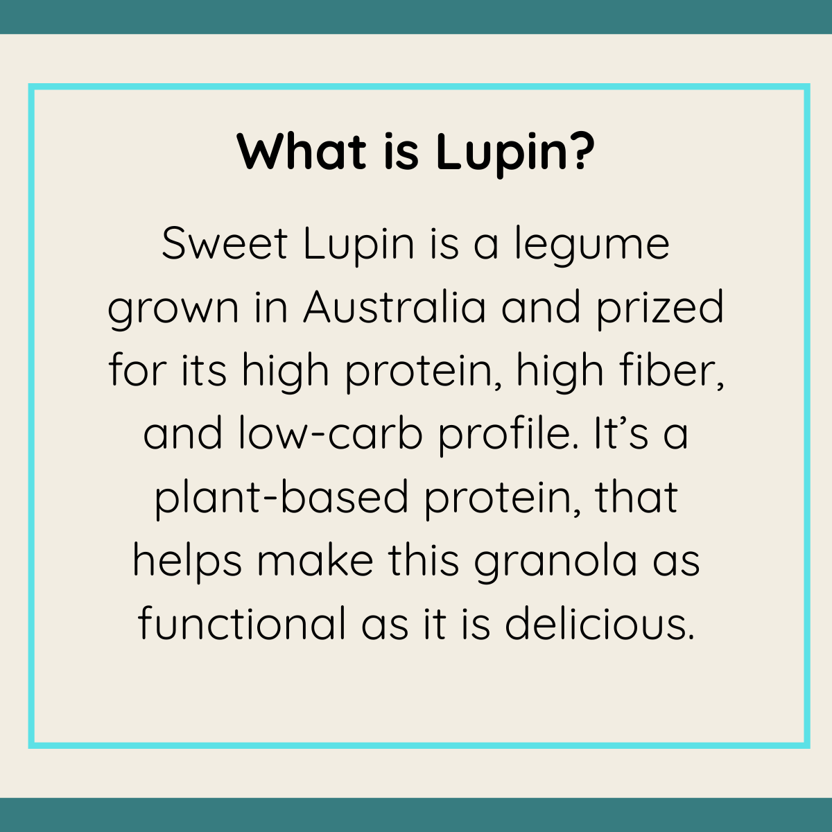 Peanut Butter & Chocolate